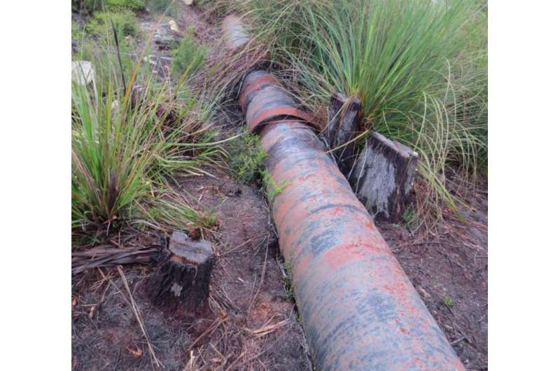 High levels of lead contamination in northeast Tasmanian drinking water