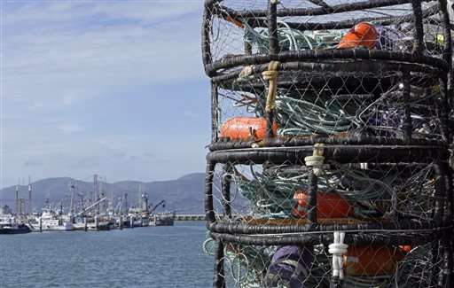 High toxin level delays California crab season