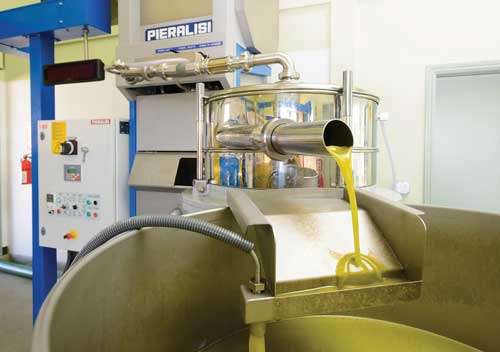 How olive oil is processed
