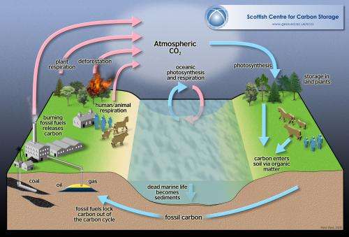How tropical subsoil microbes could affect the carbon cycle