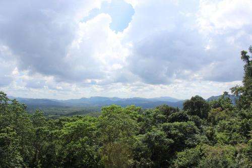 Humans adapted to living in rainforests much sooner than thought