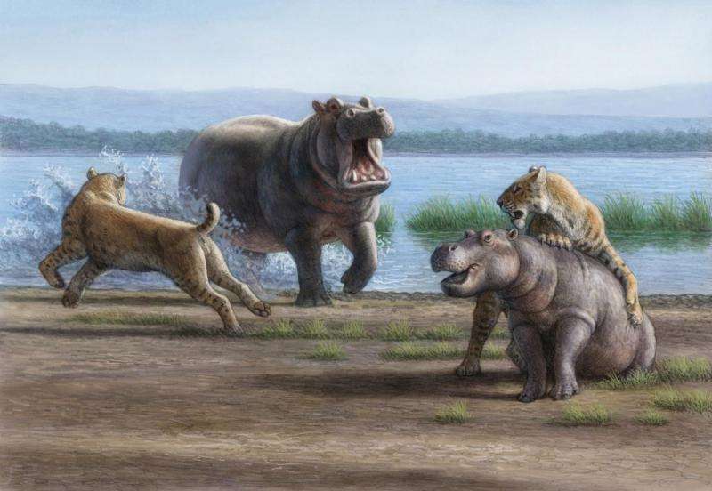 'Hypercarnivores' kept massive ancient herbivores in check
