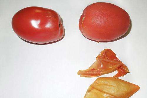 Infrared-based peeling of tomatoes may improve precision, save water