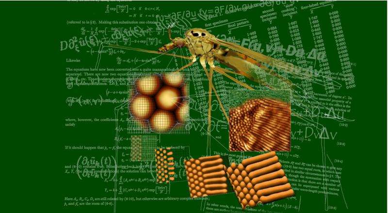 Insects passed 'the Turing Test'