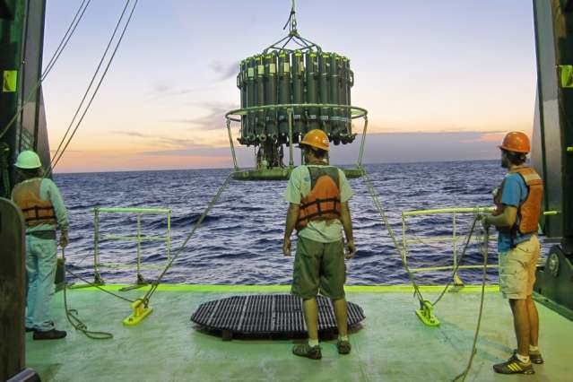 Intensity of desert storms may affect ocean phytoplankton