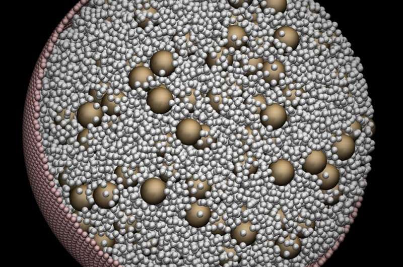 Large-scale modeling shows confinement effects on cell macromolecules