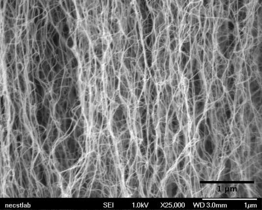 Nanotube “forest” in a microfluidic channel may help detect rare proteins and viruses