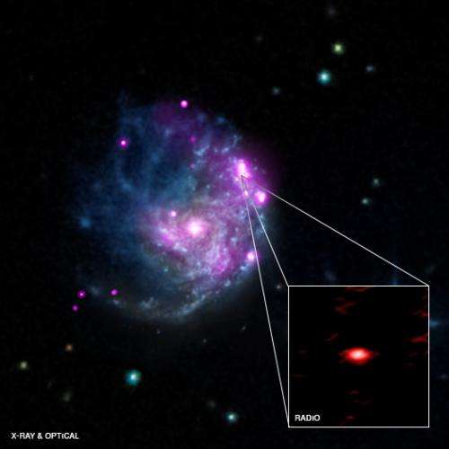 NASA's Chandra finds intriguing member of black hole family tree