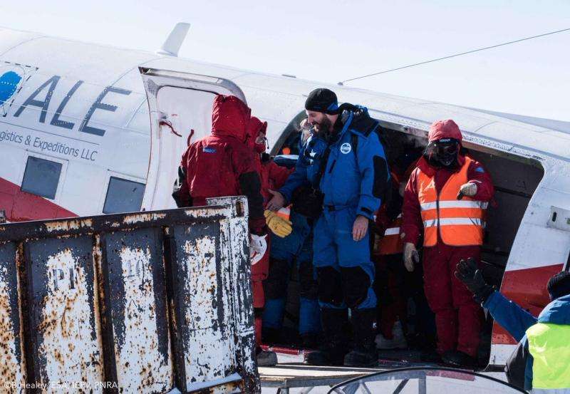 New arrivals in Antarctica
