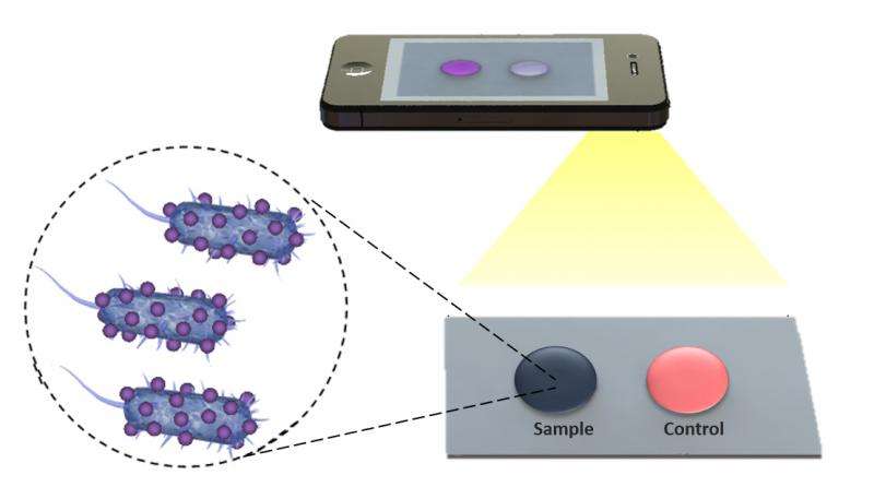New Biosensing Platform Could Quickly and Accurately Diagnose Disease and Monitor Treatment Remotely