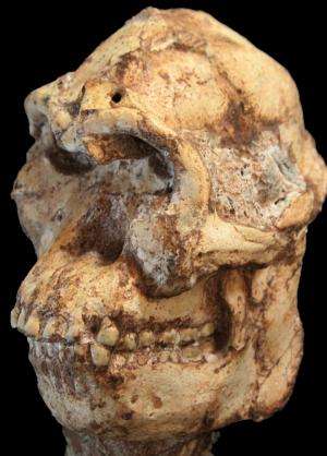 New cosmogenic burial ages for SA's Little Foot fossil and Oldowan artefacts