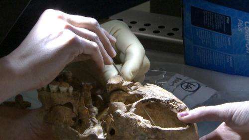 New film footage reveals potential 'killer blow' to King Richard III
