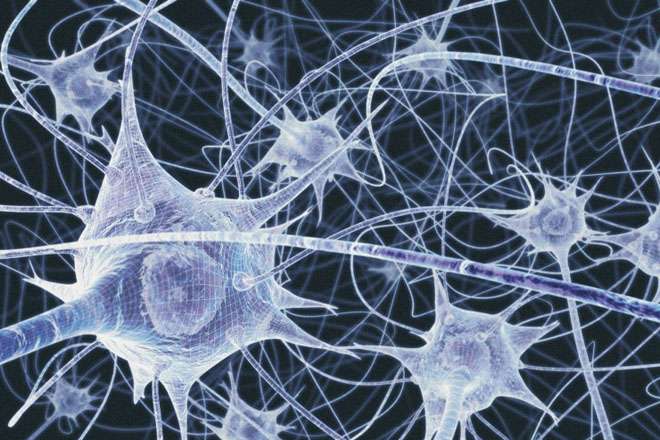 New mathematical method reveals structure in neural activity in the brain