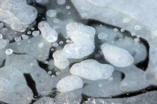 New research identifies diverse sources of methane in shallow Arctic lakes