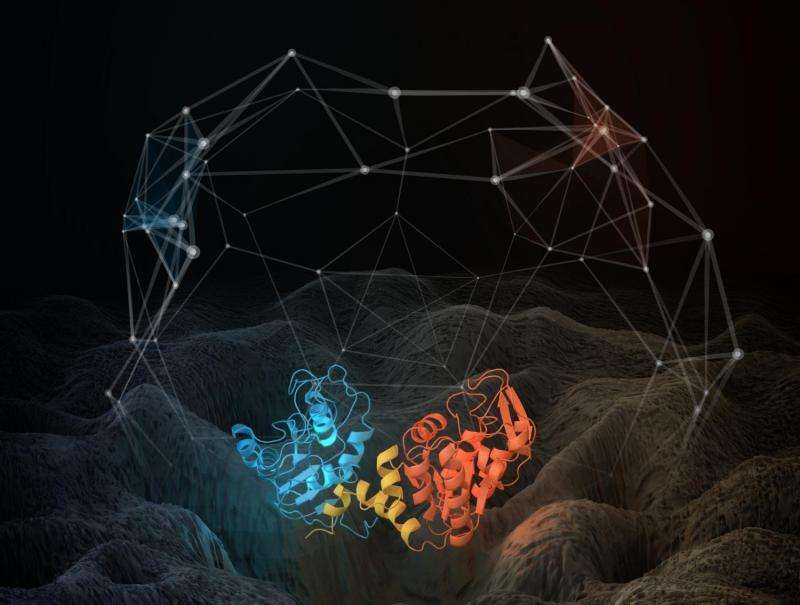 New supercomputer simulations enhance understanding of protein motion and function