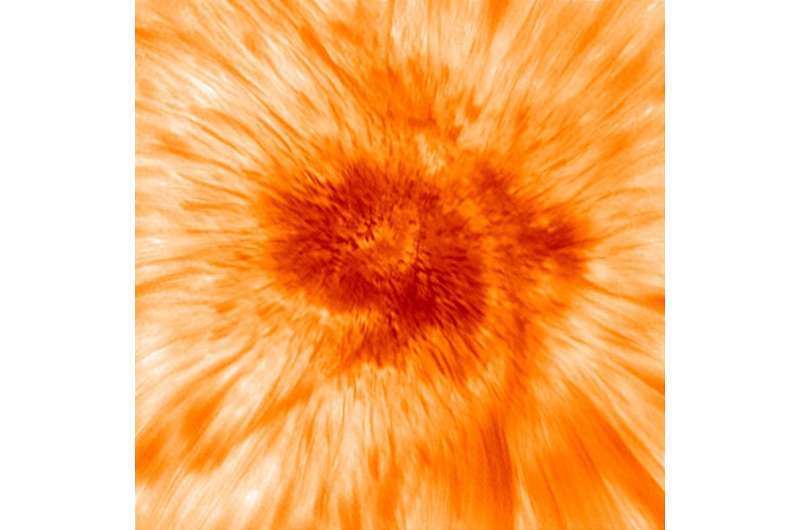NJIT's new solar telescope unveils the complex dynamics of sunspots' dark cores