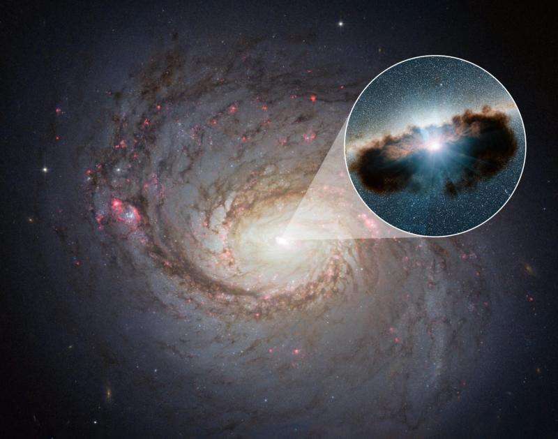 NuSTAR finds clumpy doughnut around black hole