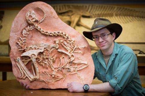 Pair of star-crossed oviraptors yield new clues about dinosaur mating habits