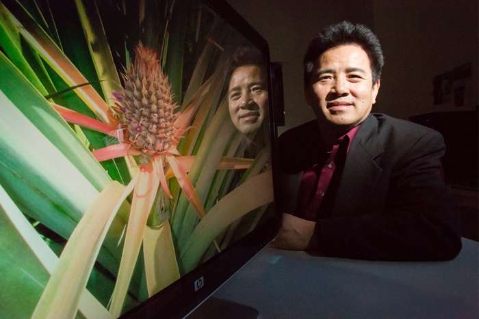 Pineapple genome offers insight into photosynthesis in drought-tolerant plants