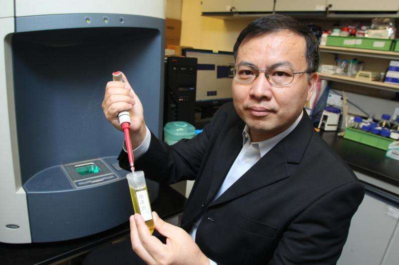 PolyU develops a new method for rapid authentication of edible oils and screening of gutter oils