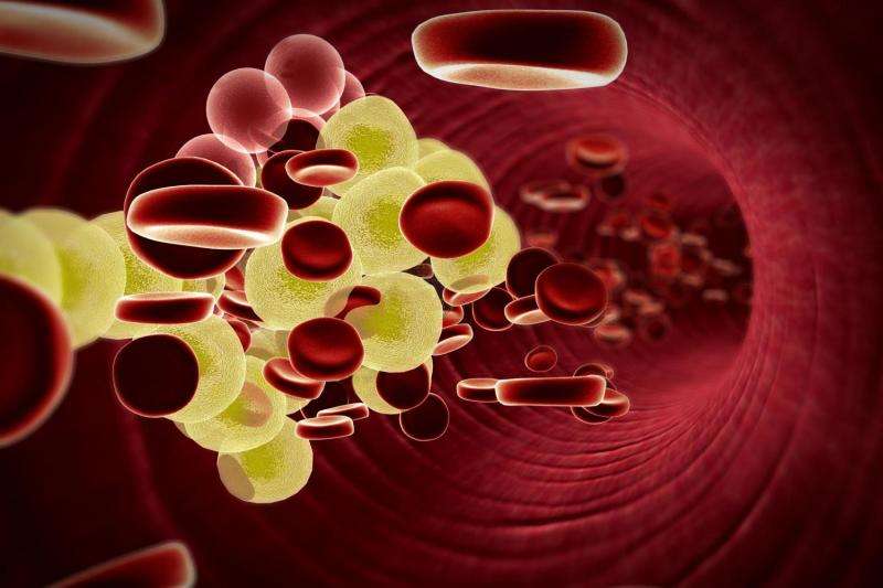 Potential way to control cholesterol levels via dying cells