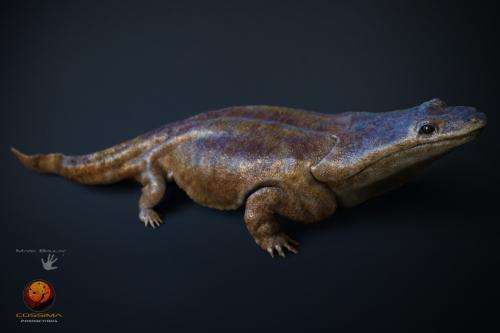 Prehistoric super salamander was top predator, fossils suggest