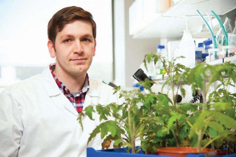 Queen's University Belfast research could revolutionize farming in developing world