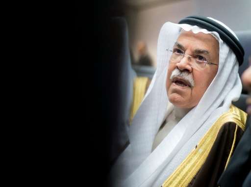 Saudi Oil Minister Ali al-Naimi said he favoured a shift from oil to natural gas, of which the kingdom also has vast stocks, and
