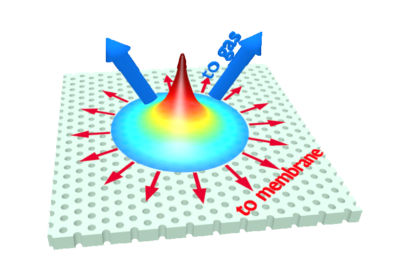 Scientists control the flow of heat and light in photonic crystals