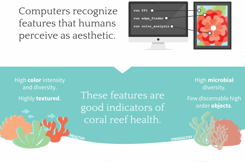 Scientists measure the 'beauty' of coral reefs