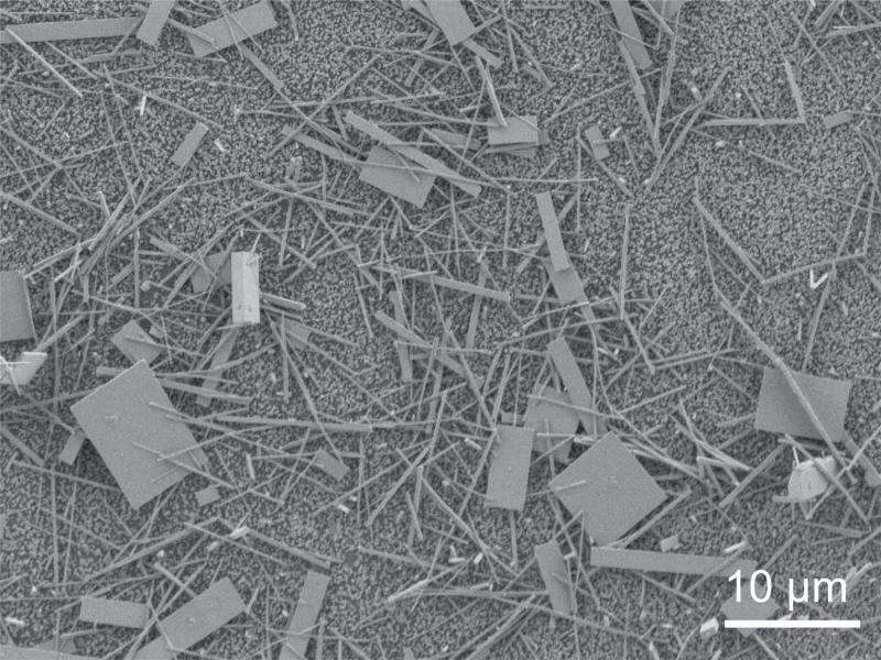 Solution-grown nanowires make the best lasers