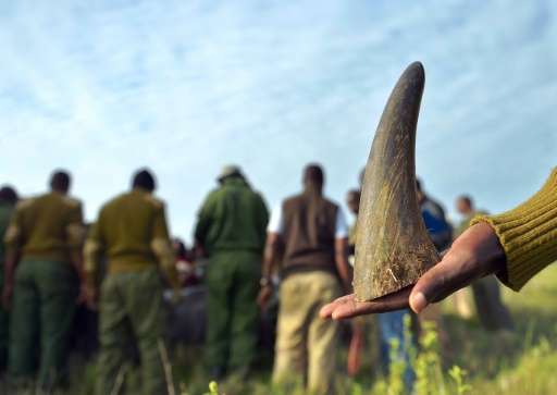 South Africa says 1,215 rhinos were killed in 2014 for their horn which is used as a traditional medicine in East Asia