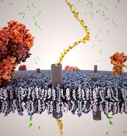 Spontaneous formation of biomimetic, nanoporous membrane channels