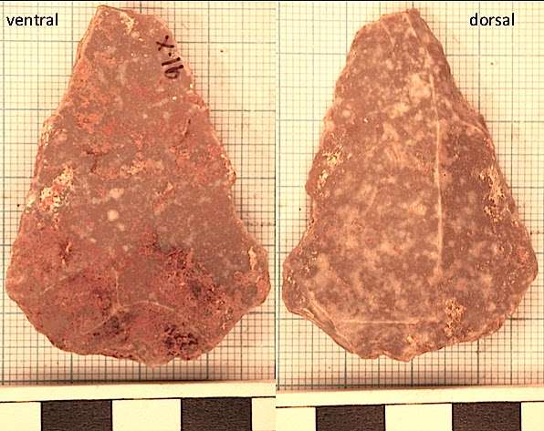 Stone tools from Jordan point to dawn of division of labor