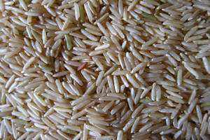 Study shows origins of rice cultivation