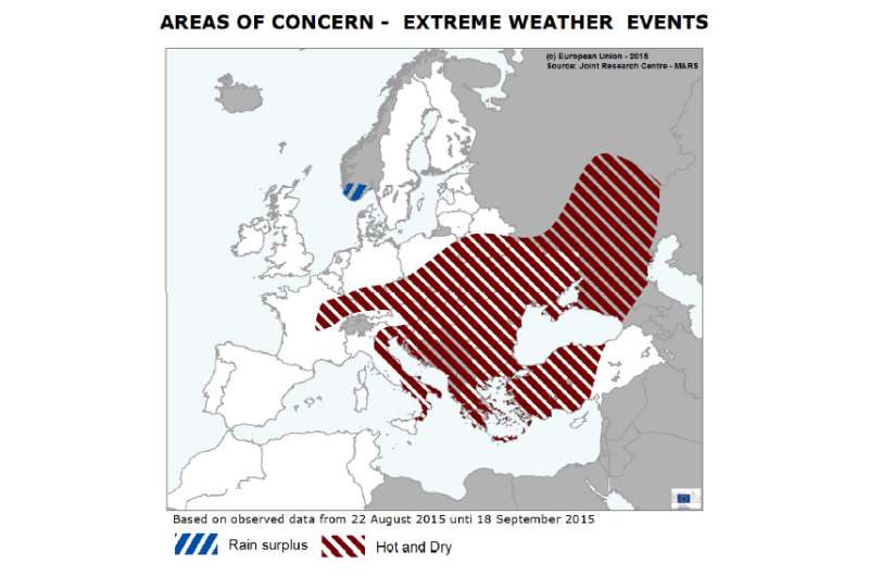 Summer crops in central Europe in poor condition following extremely hot weather