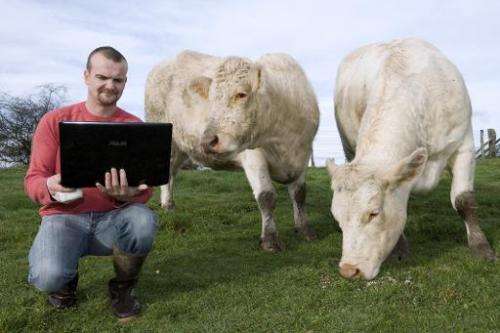 Sylvain Frobert, a cattle breeder who uses the website &quot;trouverlebontaureau.com&quot; (find the right bull), which will soo