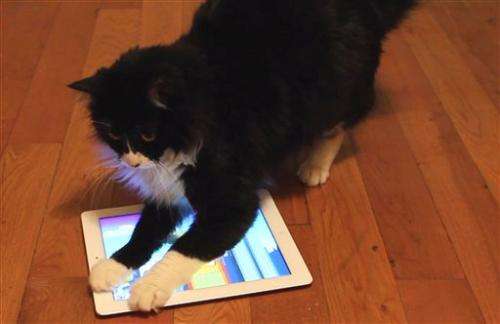 Tablet apps let cats catch critters in cyberspace