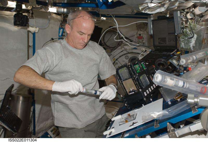 Taking plants off-planet – how do they grow in zero gravity?