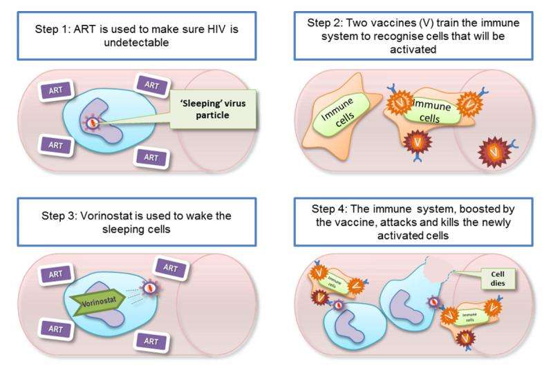 Targeting HIV ‘reservoir’ could be first step to understanding how to cure the disease