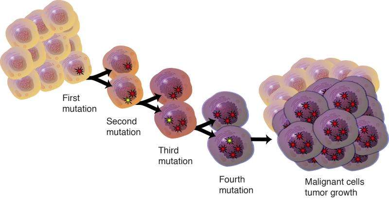 The coming third wave of precision cancer medicines