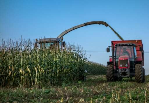 The European Parliament's environmental committee voted 47 to 3 to reject the European Commission's GM crop proposal