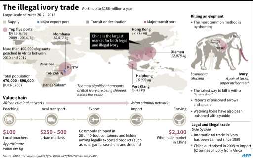 The illegal ivory trade