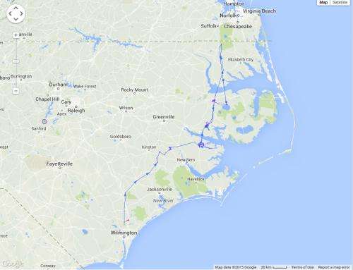 Tracking bald eagles in coastal North Carolina