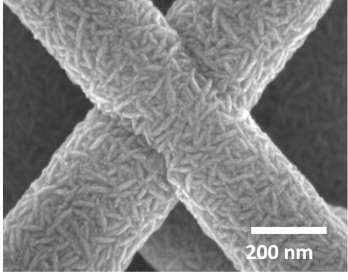 Transparent, electrically conductive network of encapsulated silver nanowires