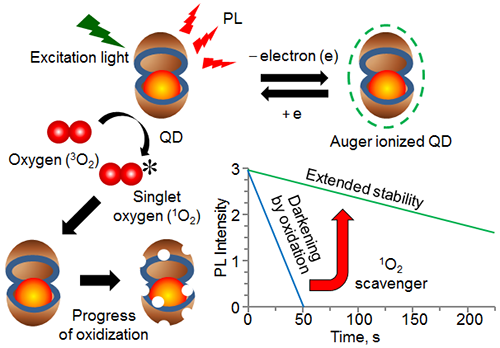 Uncovering the mechanism of photoluminescence stabilization in semiconductor nanoparticles