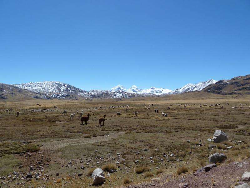Up to 30 percent less precipitation in the Central Andes in future