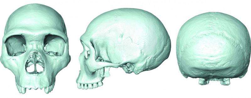 'Virtual fossil' reveals last common ancestor of humans and Neanderthals