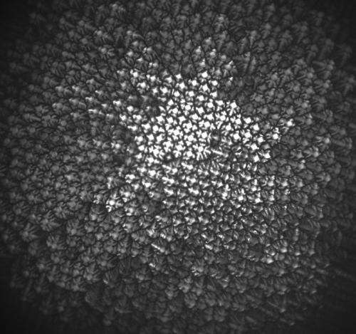 Watching alloys change from liquid to solid could lead to better metals