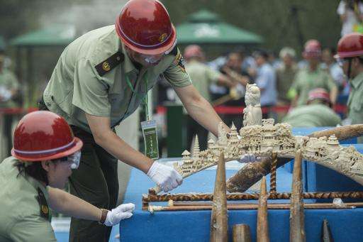 Workers put ivory items on a sliding belt before being destroyed in Beijing on May 29, 2015